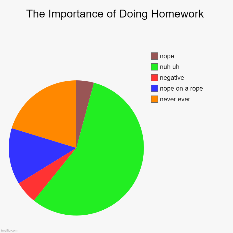 The Importance of Doing Homework | never ever, nope on a rope, negative , nuh uh, nope | image tagged in charts,pie charts | made w/ Imgflip chart maker