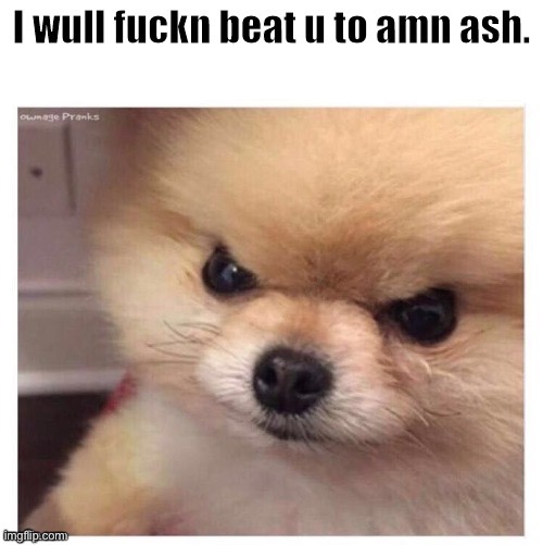 I will fucking beat you to an ash | image tagged in i will fucking beat you to an ash | made w/ Imgflip meme maker