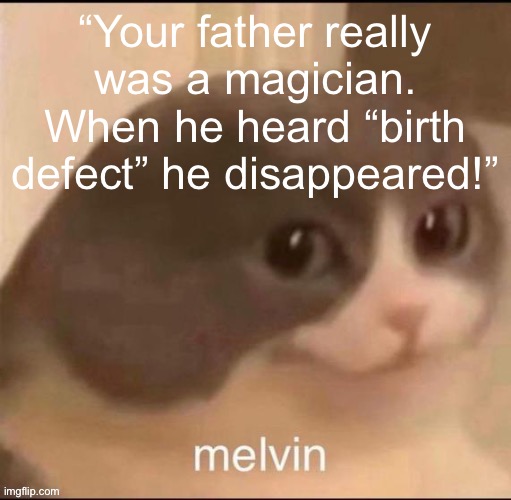 Quote from a book i will not mention | “Your father really was a magician. When he heard “birth defect” he disappeared!” | image tagged in melvin | made w/ Imgflip meme maker