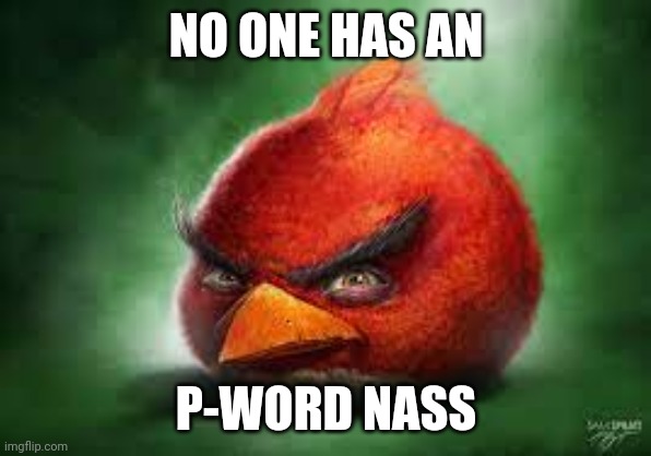 Realistic Red Angry Birds | NO ONE HAS AN P-WORD NASS | image tagged in realistic red angry birds | made w/ Imgflip meme maker