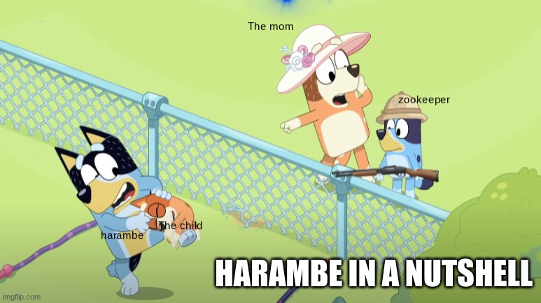 harambe | HARAMBE IN A NUTSHELL | image tagged in funny | made w/ Imgflip meme maker