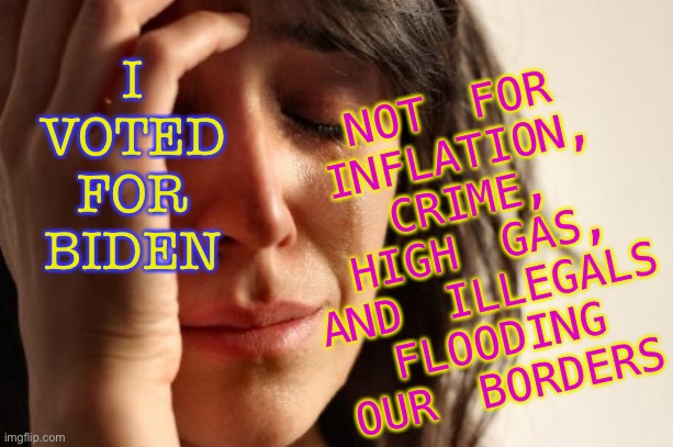 I Didn’t Vote For Inflation, Crime, High Gas, and Illegals Flooding Our Borders | NOT FOR
INFLATION,
CRIME,
HIGH GAS,
AND ILLEGALS FLOODING OUR BORDERS; I
VOTED
FOR
BIDEN | image tagged in memes,first world problems | made w/ Imgflip meme maker