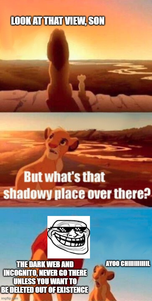 Dark Web.exe |  LOOK AT THAT VIEW, SON; AYOO CHIIIIIIIIIIL; THE DARK WEB AND INCOGNITO, NEVER GO THERE UNLESS YOU WANT TO BE DELETED OUT OF EXISTENCE | image tagged in memes,simba shadowy place | made w/ Imgflip meme maker