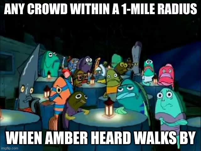 true | ANY CROWD WITHIN A 1-MILE RADIUS; WHEN AMBER HEARD WALKS BY | image tagged in amber heard,bikini bottom,so true memes | made w/ Imgflip meme maker