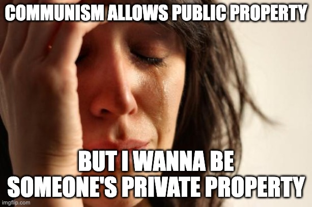not recommended for capitalist bootlickers | COMMUNISM ALLOWS PUBLIC PROPERTY; BUT I WANNA BE SOMEONE'S PRIVATE PROPERTY | image tagged in memes,first world problems | made w/ Imgflip meme maker