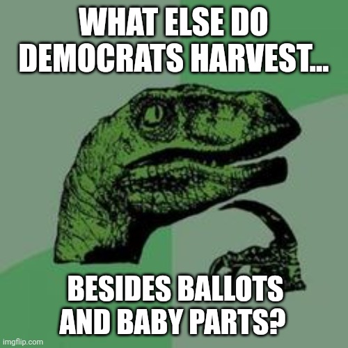 Everything they can I'm sure. | WHAT ELSE DO DEMOCRATS HARVEST... BESIDES BALLOTS AND BABY PARTS? | image tagged in time raptor | made w/ Imgflip meme maker