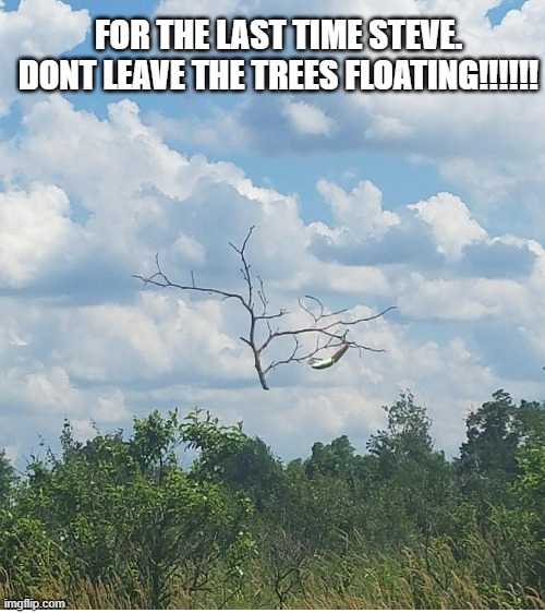 STEEEEEEEEVEEEEEEE!!!!!! | FOR THE LAST TIME STEVE. DONT LEAVE THE TREES FLOATING!!!!!! | image tagged in blank white template | made w/ Imgflip meme maker