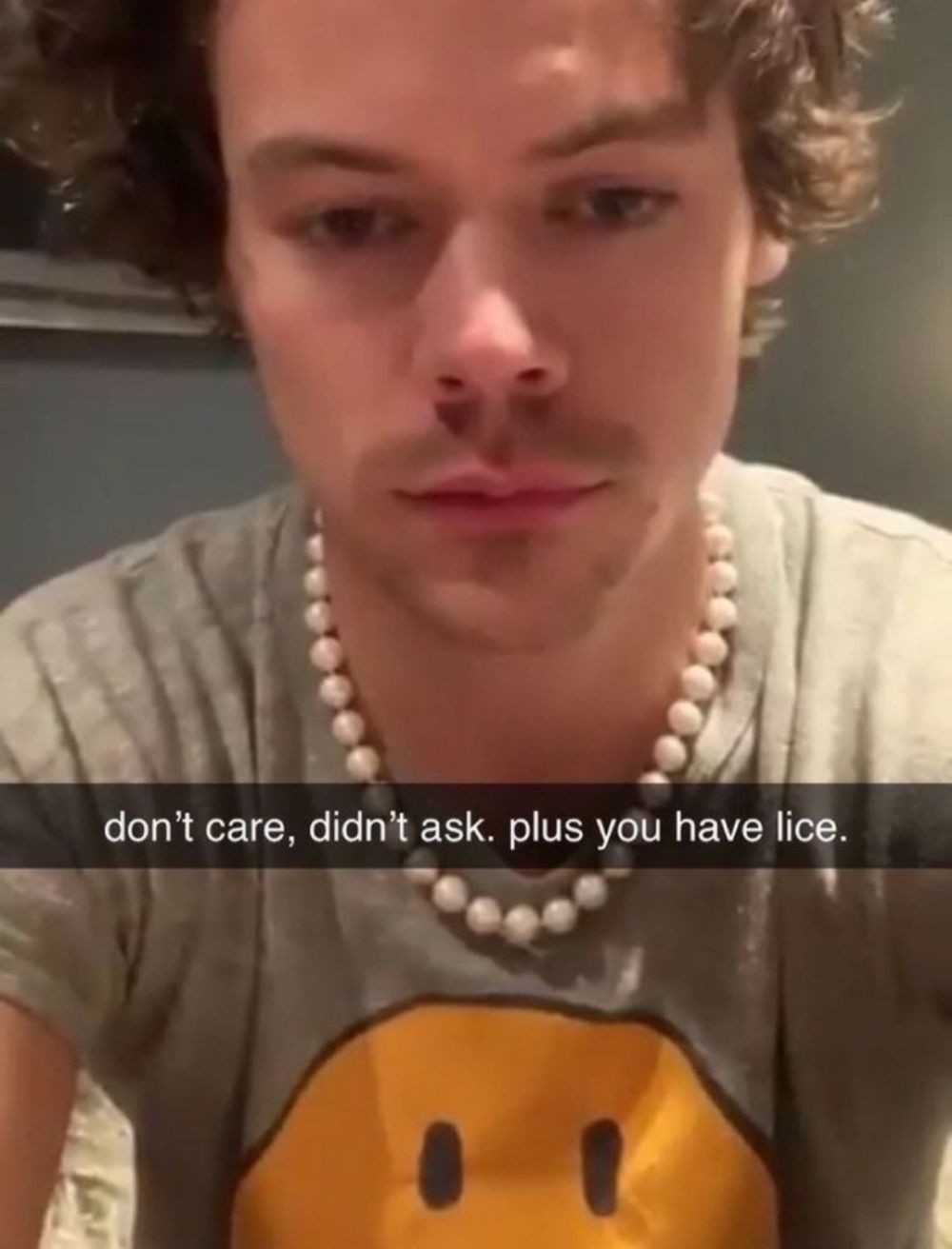 Plus u have lice ? Blank Meme Template