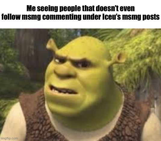 Confused shrek | Me seeing people that doesn’t even follow msmg commenting under Iceu’s msmg posts | image tagged in confused shrek | made w/ Imgflip meme maker