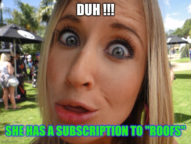 Memes | DUH !!! SHE HAS A SUBSCRIPTION TO "ROOFS" | image tagged in memes | made w/ Imgflip meme maker