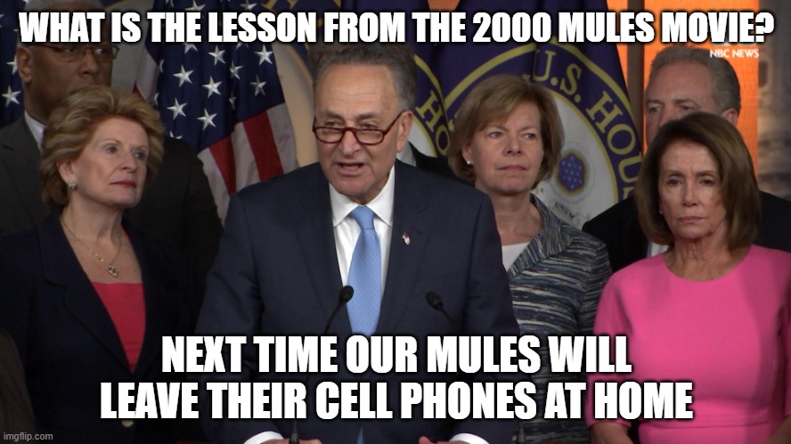 crooked, thy name is democrat | WHAT IS THE LESSON FROM THE 2000 MULES MOVIE? NEXT TIME OUR MULES WILL LEAVE THEIR CELL PHONES AT HOME | image tagged in democrat congressmen | made w/ Imgflip meme maker