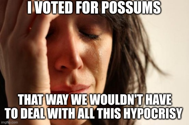 First World Problems Meme | I VOTED FOR POSSUMS THAT WAY WE WOULDN'T HAVE TO DEAL WITH ALL THIS HYPOCRISY | image tagged in memes,first world problems | made w/ Imgflip meme maker