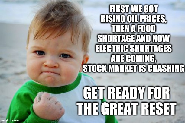 Doesn't matter what you want, the elites tell you what you want from now on... | FIRST WE GOT RISING OIL PRICES, THEN A FOOD SHORTAGE AND NOW ELECTRIC SHORTAGES ARE COMING, STOCK MARKET IS CRASHING; GET READY FOR THE GREAT RESET | image tagged in memes,success kid original | made w/ Imgflip meme maker