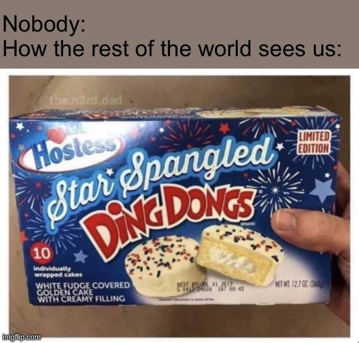 I don’t know what to name this | Nobody:
How the rest of the world sees us: | image tagged in star spangled ding dong | made w/ Imgflip meme maker