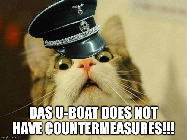 Scared Cat Meme | DAS U-BOAT DOES NOT HAVE COUNTERMEASURES!!! | image tagged in memes,scared cat | made w/ Imgflip meme maker