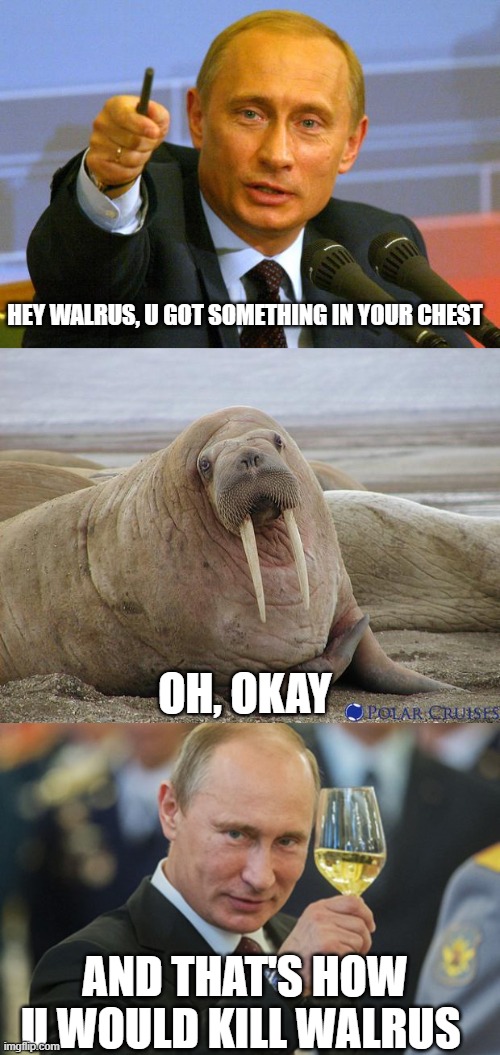 should i try it? | HEY WALRUS, U GOT SOMETHING IN YOUR CHEST; OH, OKAY; AND THAT'S HOW U WOULD KILL WALRUS | image tagged in memes,good guy putin,walrus,putin cheers | made w/ Imgflip meme maker
