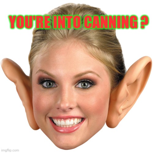 Memes, Big Ear Girl | YOU'RE INTO CANNING ? | image tagged in memes big ear girl | made w/ Imgflip meme maker