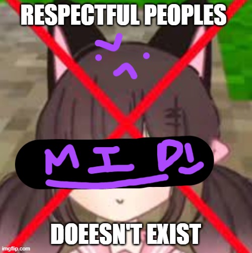 MY N3W TEPMLATE | RESPECTFUL PEOPLES DOEESN'T EXIST | image tagged in my n3w tepmlate | made w/ Imgflip meme maker