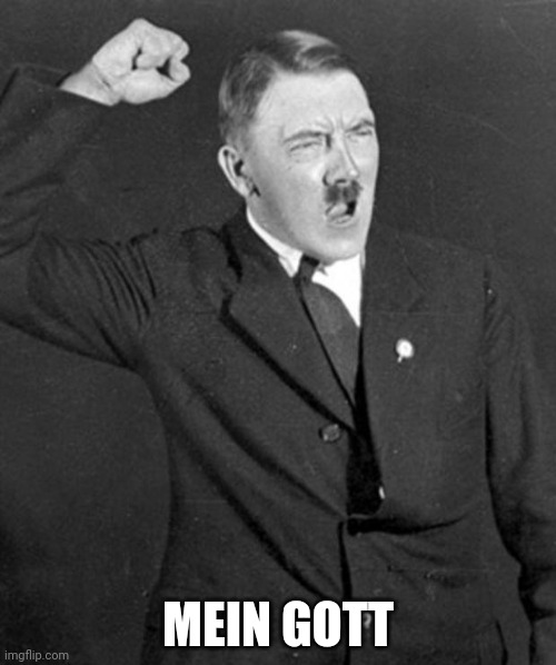 Angry Hitler | MEIN GOTT | image tagged in angry hitler | made w/ Imgflip meme maker