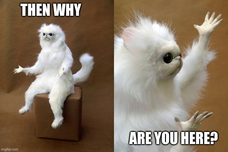 Then Why? Cat | THEN WHY ARE YOU HERE? | image tagged in then why cat | made w/ Imgflip meme maker