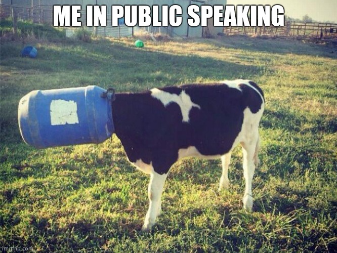 Ahhh, yes. Shyness | ME IN PUBLIC SPEAKING | image tagged in bucket cow | made w/ Imgflip meme maker