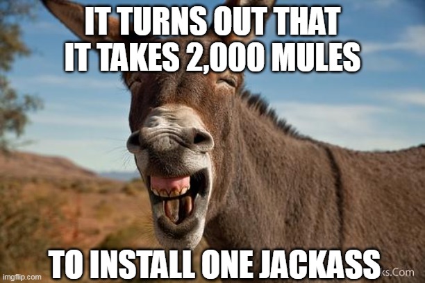 It's getting harder and harder to hide from the truth. |  IT TURNS OUT THAT IT TAKES 2,000 MULES; TO INSTALL ONE JACKASS | image tagged in democrat party,election fraud,creepy joe biden,trump wins | made w/ Imgflip meme maker
