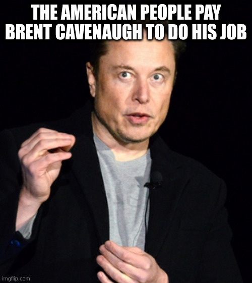 Everyone should have the right to complain | THE AMERICAN PEOPLE PAY BRENT CAVENAUGH TO DO HIS JOB | image tagged in musk,usa,politics,door-to-door complaints | made w/ Imgflip meme maker