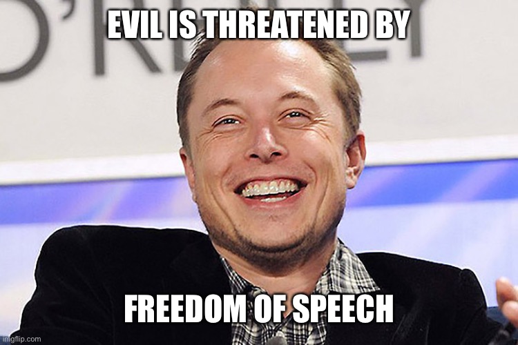 Elon musk | EVIL IS THREATENED BY FREEDOM OF SPEECH | image tagged in elon musk | made w/ Imgflip meme maker