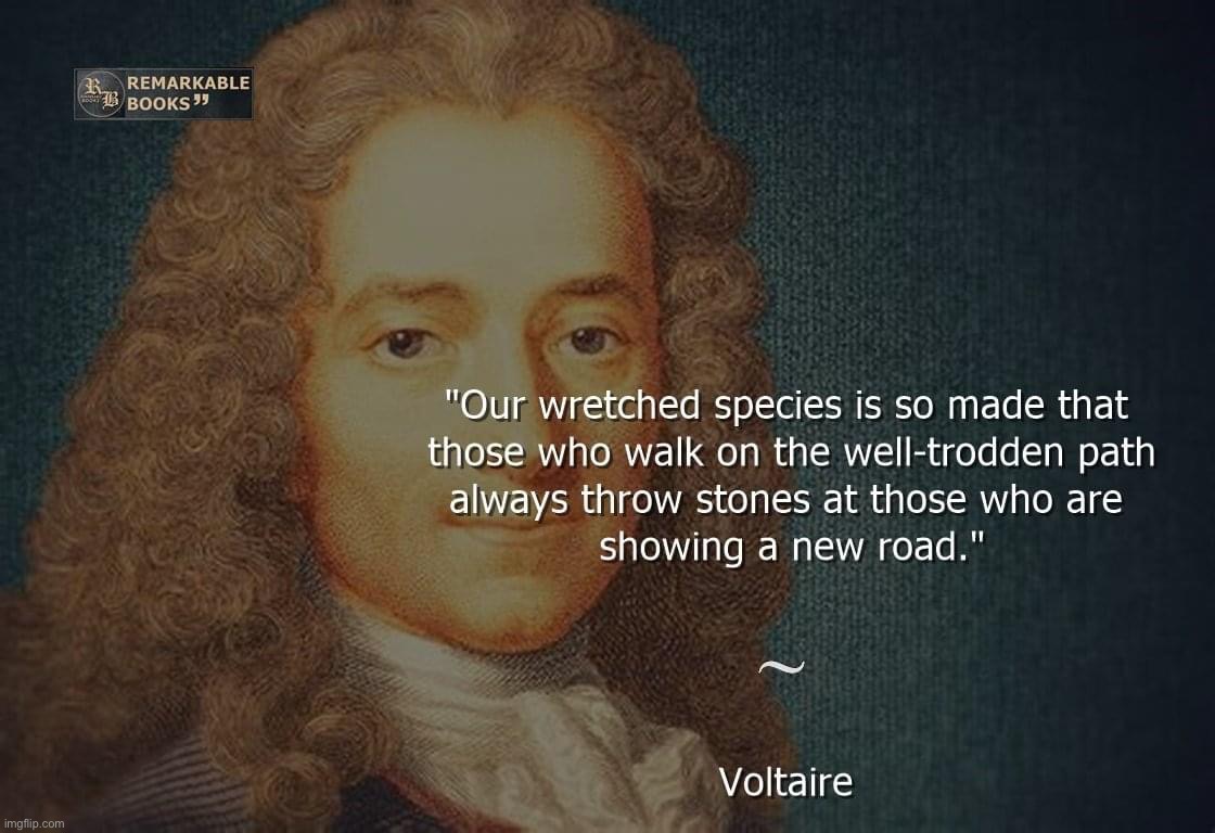 Voltaire quote | image tagged in voltaire quote | made w/ Imgflip meme maker