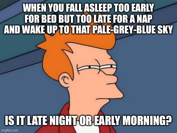 Waking Up from Unexpected  Naps |  WHEN YOU FALL ASLEEP TOO EARLY FOR BED BUT TOO LATE FOR A NAP AND WAKE UP TO THAT PALE-GREY-BLUE SKY; IS IT LATE NIGHT OR EARLY MORNING? | image tagged in memes,futurama fry | made w/ Imgflip meme maker