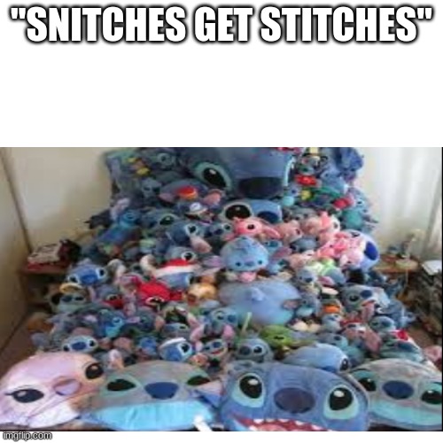 you that they say | "SNITCHES GET STITCHES" | image tagged in memes | made w/ Imgflip meme maker