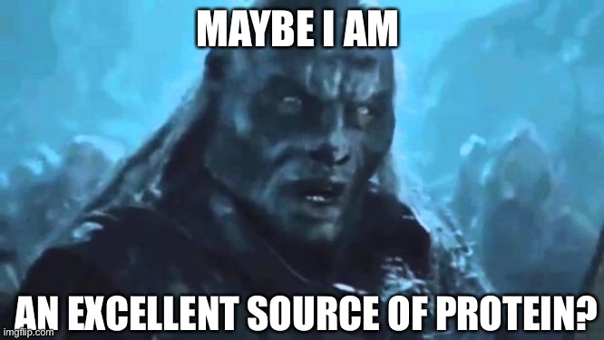 Lord of the Rings Meat's back on the menu | MAYBE I AM; AN EXCELLENT SOURCE OF PROTEIN? | image tagged in lord of the rings meat's back on the menu | made w/ Imgflip meme maker