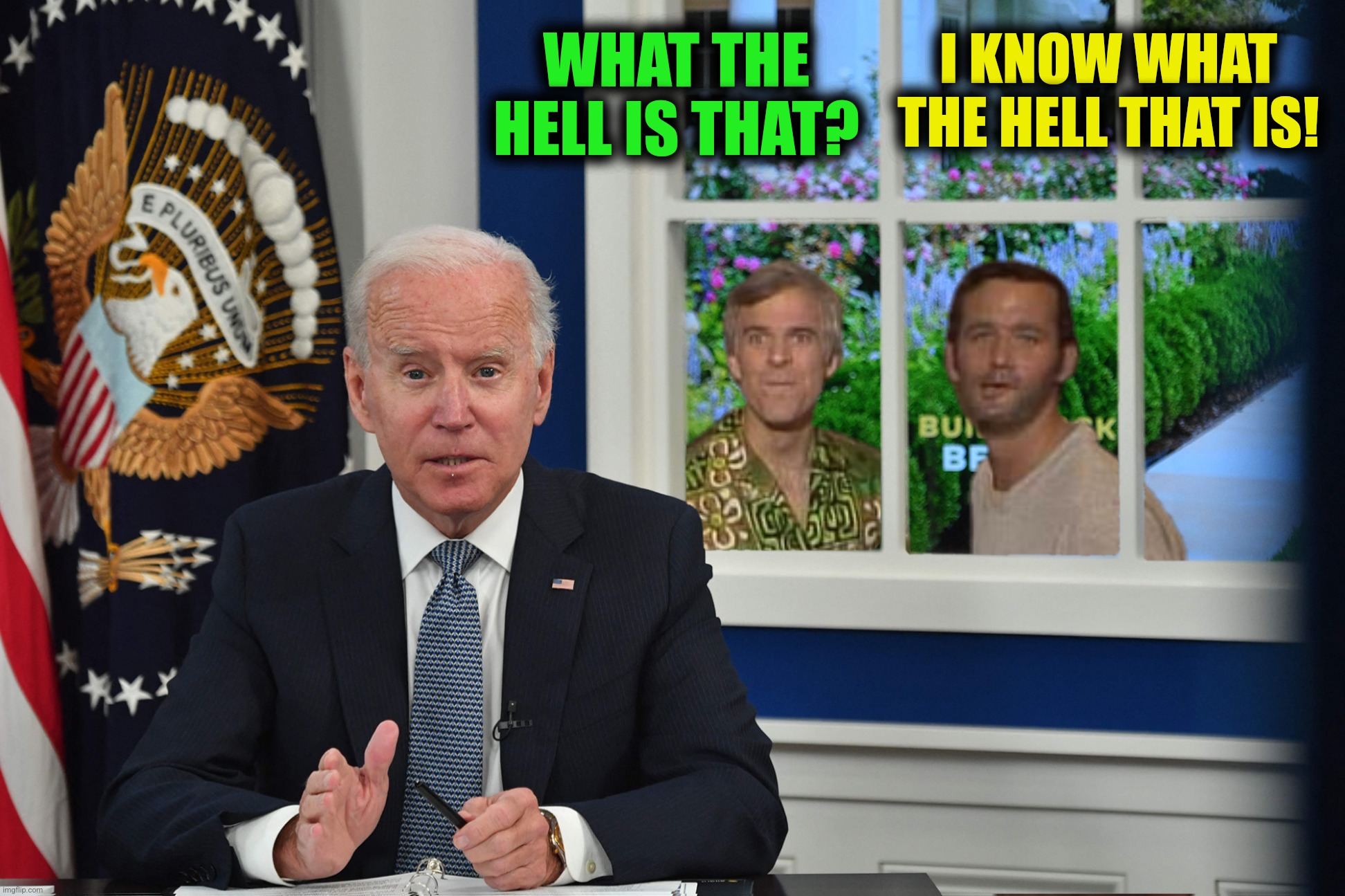 WHAT THE HELL IS THAT? I KNOW WHAT THE HELL THAT IS! | made w/ Imgflip meme maker