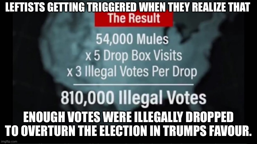 The TDS is so bad they can’t understand fraud even if it bit them in their manginas | LEFTISTS GETTING TRIGGERED WHEN THEY REALIZE THAT; ENOUGH VOTES WERE ILLEGALLY DROPPED TO OVERTURN THE ELECTION IN TRUMPS FAVOUR. | image tagged in trump is your president,facts,mangina | made w/ Imgflip meme maker
