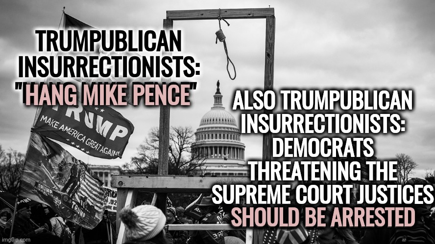 Hypocrites | ALSO TRUMPUBLICAN INSURRECTIONISTS: DEMOCRATS THREATENING THE SUPREME COURT JUSTICES SHOULD BE ARRESTED; TRUMPUBLICAN INSURRECTIONISTS: "HANG MIKE PENCE"; HANG MIKE PENCE; SHOULD BE ARRESTED | image tagged in noose at the capitol,memes,hypocrisy,hypocrites,conservative hypocrisy,trumpublican hypocrites | made w/ Imgflip meme maker
