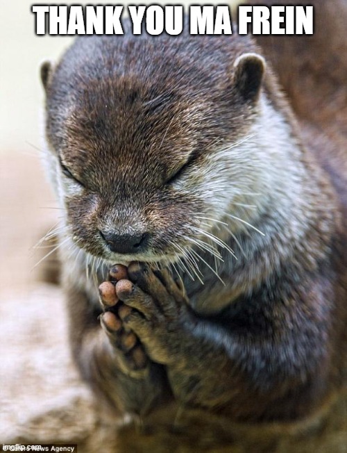 Thank you Lord Otter | THANK YOU MA FREIN | image tagged in thank you lord otter | made w/ Imgflip meme maker
