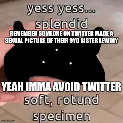 Soft rotund specimen | REMEMBER SOMEONE ON TWITTER MADE A SEXUAL PICTURE OF THEIR 9YO SISTER LEWDLY; YEAH IMMA AVOID TWITTER | image tagged in soft rotund specimen | made w/ Imgflip meme maker