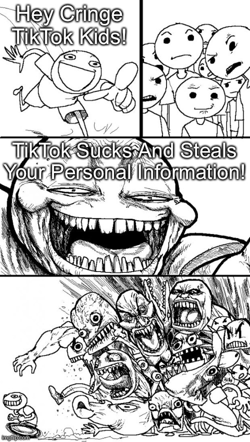 Hey Internet Meme | Hey Cringe TikTok Kids! TikTok Sucks And Steals Your Personal Information! | image tagged in memes,hey internet | made w/ Imgflip meme maker