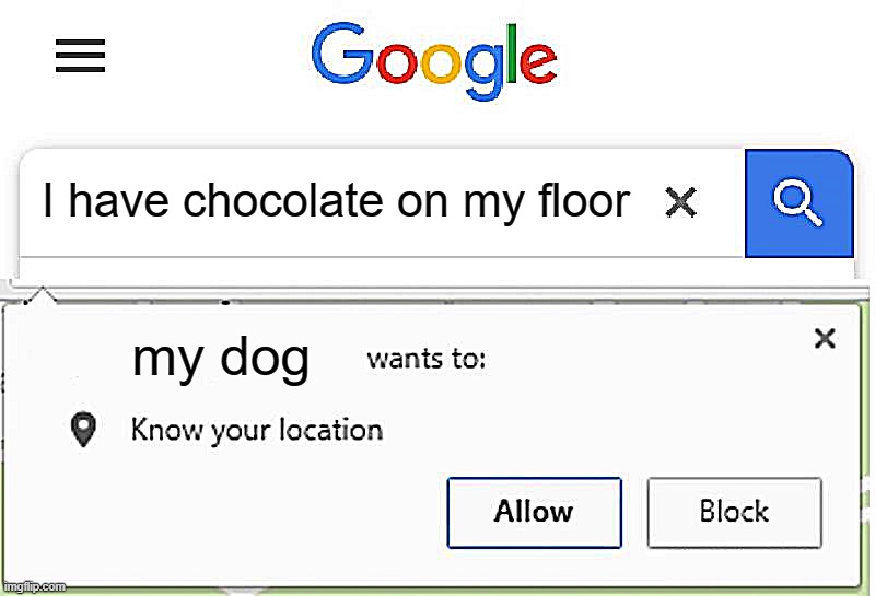 NOOOO | I have chocolate on my floor; my dog | image tagged in wants to know your location | made w/ Imgflip meme maker