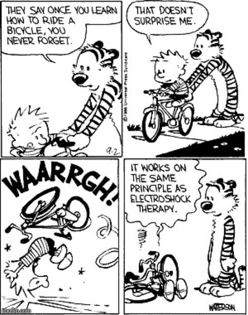 image tagged in bicycle,calvin and hobbes,comics | made w/ Imgflip meme maker