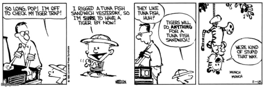 the first strip | image tagged in calvin and hobbes,tiger king,comics,tiger,trap | made w/ Imgflip meme maker