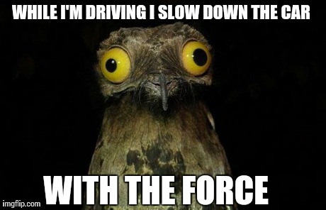 Weird Stuff I Do Potoo Meme | WHILE I'M DRIVING I SLOW DOWN THE CAR WITH THE FORCE | image tagged in memes,weird stuff i do potoo | made w/ Imgflip meme maker