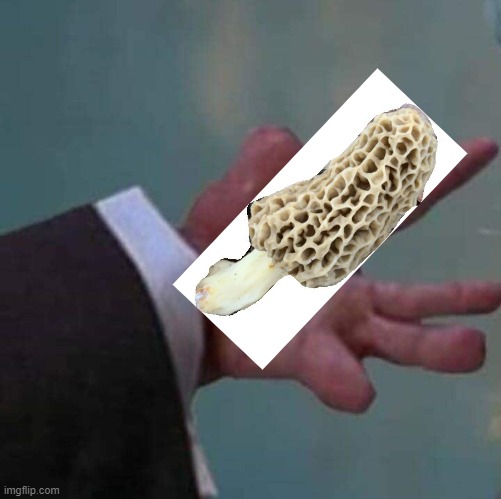 Morel Strong Hand | image tagged in strong hand,morel,morels,morel strong hand | made w/ Imgflip meme maker