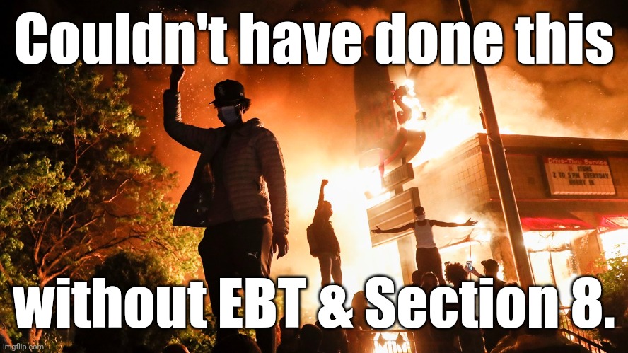 BLM Riots | Couldn't have done this without EBT & Section 8. | image tagged in blm riots | made w/ Imgflip meme maker