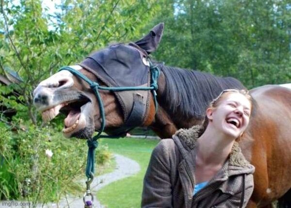 Laughing Horse | image tagged in laughing horse | made w/ Imgflip meme maker