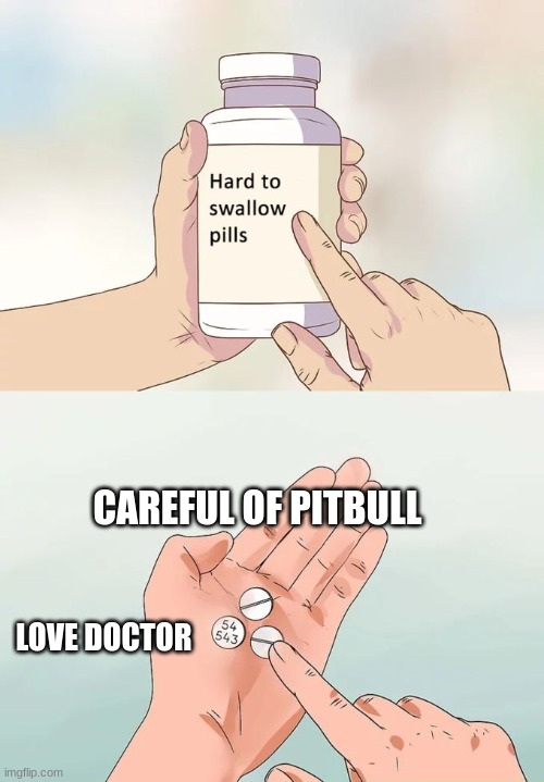 Love doctor | CAREFUL OF PITBULL; LOVE DOCTOR | image tagged in memes,hard to swallow pills | made w/ Imgflip meme maker