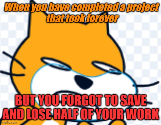 Scratch cat | When you have completed a project
 that took forever; BUT YOU FORGOT TO SAVE AND LOSE HALF OF YOUR WORK | image tagged in scratch cat | made w/ Imgflip meme maker