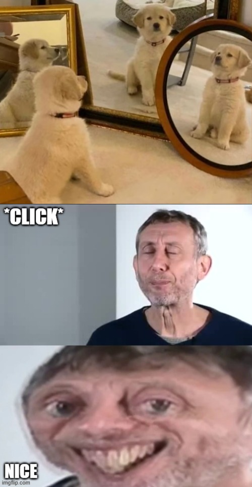 image tagged in michael rosen click nice | made w/ Imgflip meme maker