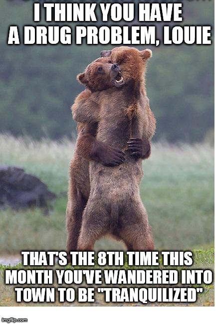 tranquilized bears | I THINK YOU HAVE A DRUG PROBLEM, LOUIE THAT'S THE 8TH TIME THIS MONTH YOU'VE WANDERED INTO TOWN TO BE "TRANQUILIZED" | image tagged in hugging bears,funny | made w/ Imgflip meme maker