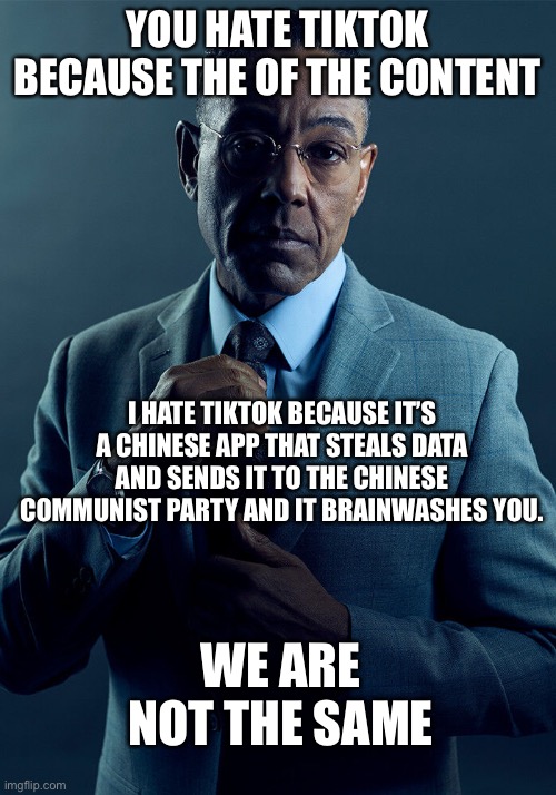 Gus Fring we are not the same | YOU HATE TIKTOK BECAUSE THE OF THE CONTENT; I HATE TIKTOK BECAUSE IT’S A CHINESE APP THAT STEALS DATA AND SENDS IT TO THE CHINESE COMMUNIST PARTY AND IT BRAINWASHES YOU. WE ARE NOT THE SAME | image tagged in gus fring we are not the same,memes | made w/ Imgflip meme maker